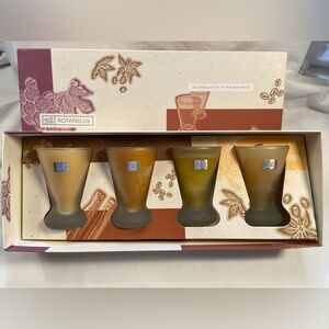 Botanicus 4 Candle Gift‎ Set in Frosted Shot Glass Vases